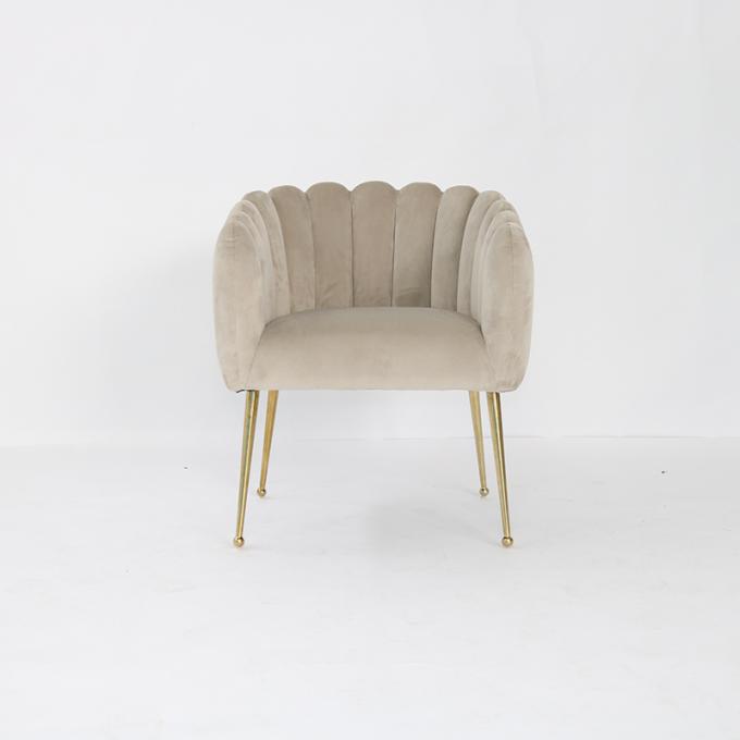 Stoelen van de het Fluweeleetkamer van roestvrij staalbenen de Europese Ongewapende 0